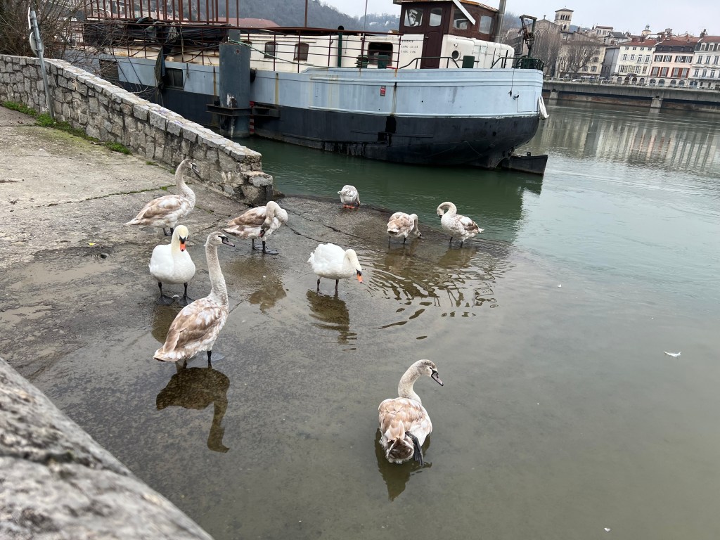 ボキャブラリー①　自己流の覚え方