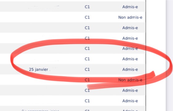 DALF C1 受かりました！